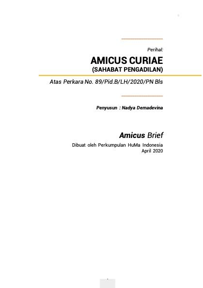 Amicus Curiae Atas Perkara No. 89/Pid.B/LH/2020/PN Bls